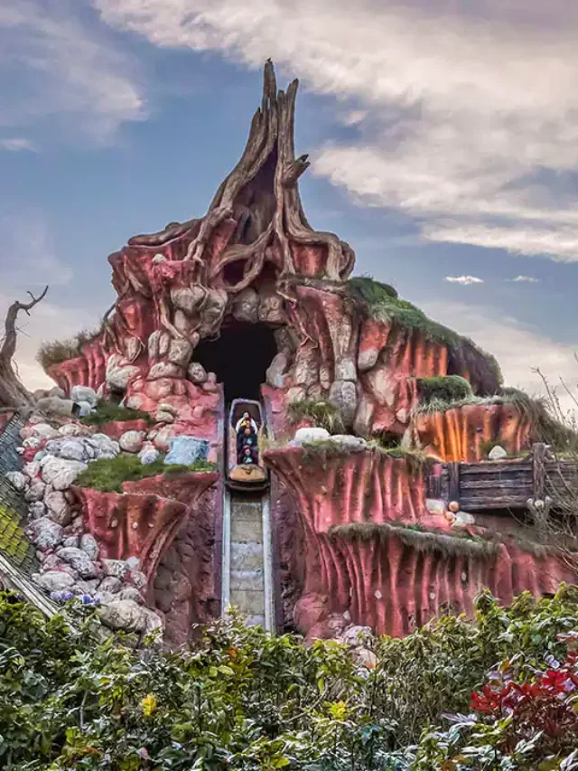 8  things you should know about Splash Mountains.